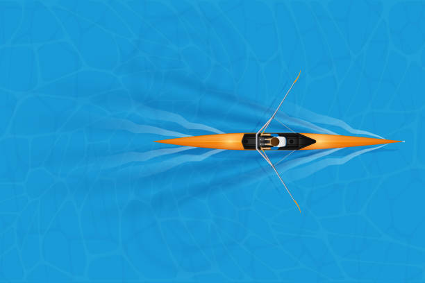 одиночная гоночная оболочка с гребцом - rowing rowboat sport rowing oar stock illustrations