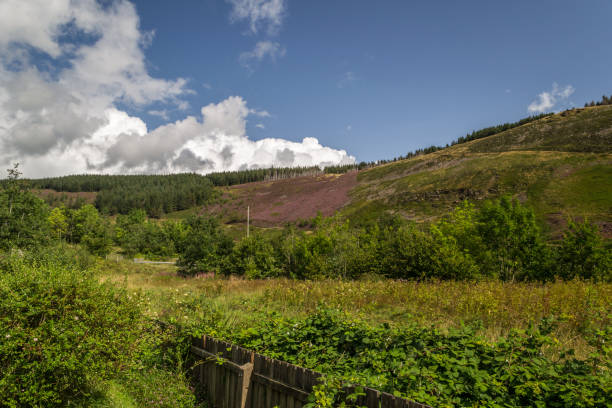 istock Green meadows covering the hills and creating extensive pastures for sheep. 1188448008