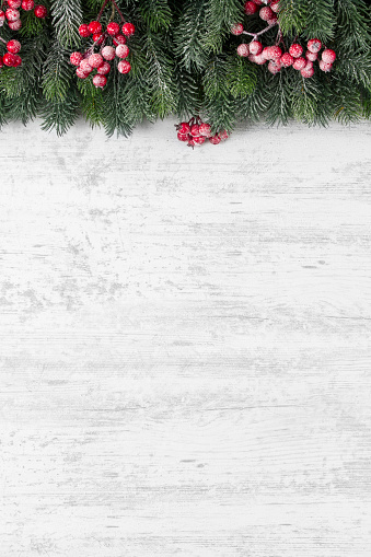 Holiday evergreen branches and berries over rustic wooden background with copy space