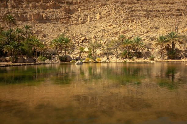wadi shab oasi, oman - oasis wadi al shab valley canyon foto e immagini stock