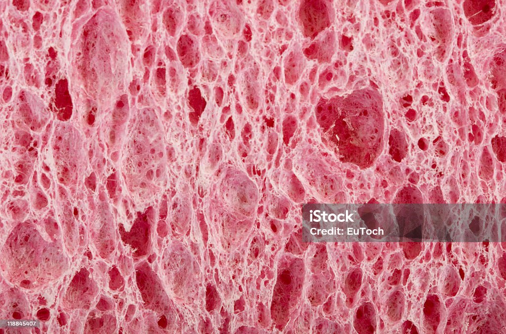 Esponja de fundo-de-rosa - Royalty-free Abstrato Foto de stock