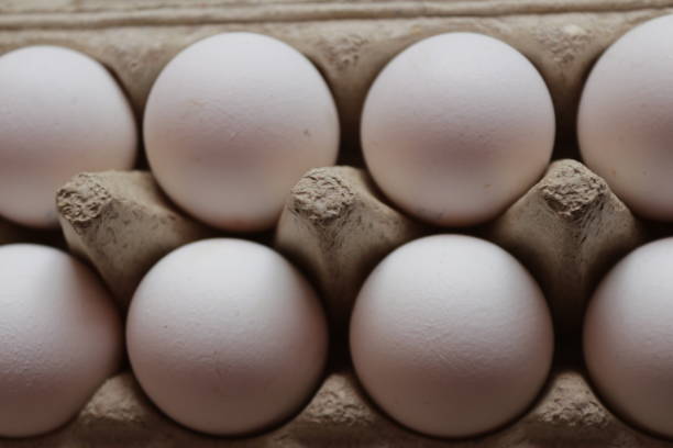istock many light chicken eggs lie in a paper tray 1188454412