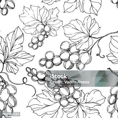 istock Vector Grape berry healthy food. Black and white engraved ink art. Seamless background pattern. 1188457233