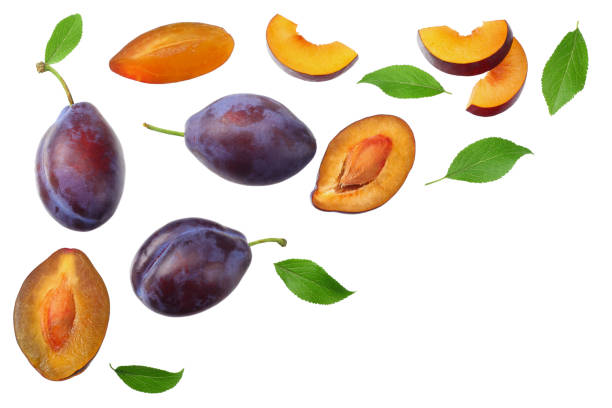 istock fresh plum fruit with green leaf and cut plum slices isolated on white background. top view 1188458259