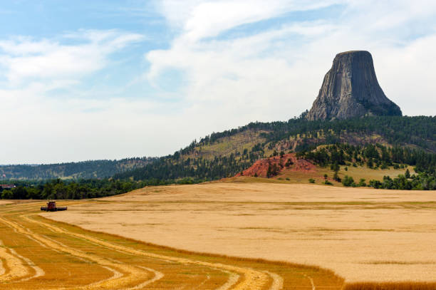 Iconic Wyoming view Combine harvesting crops near Devils Tower National Monument (Bear Lodge in Native american culture), part of the Black Hills in Wyoming ursus tractor stock pictures, royalty-free photos & images