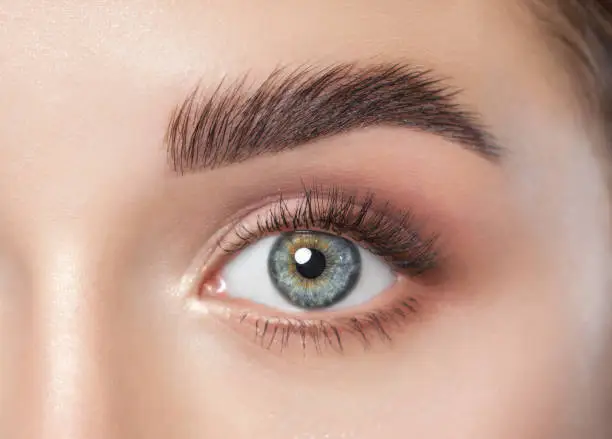 Beautiful woman with long eyelashes, beautiful make-up and thick eyebrows. Beautiful blue eyes close up. Looking at the camera. Cosmetology concept