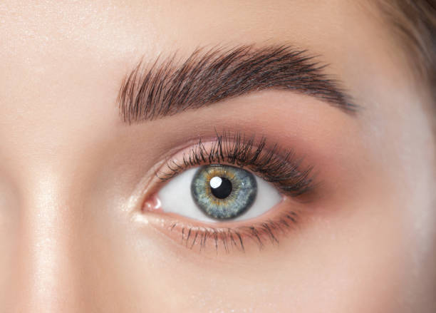 mulher bonita com cílios longos, maquiagem bonita e sobrancelhas grossas. os olhos azuis bonitos fecham-se acima. olhando para a câmera. conceito de cosmetologia - human eye eyebrow eyelash beauty - fotografias e filmes do acervo