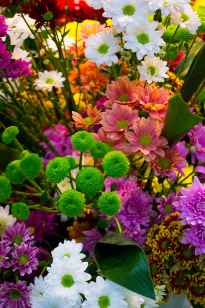 istock bouquet of red chrysanthemum flowers 1188462243