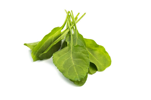 istock Close up of fresh green spinach isolated on white background 1188463148