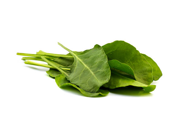 istock Close up of fresh green spinach isolated on white background 1188463349