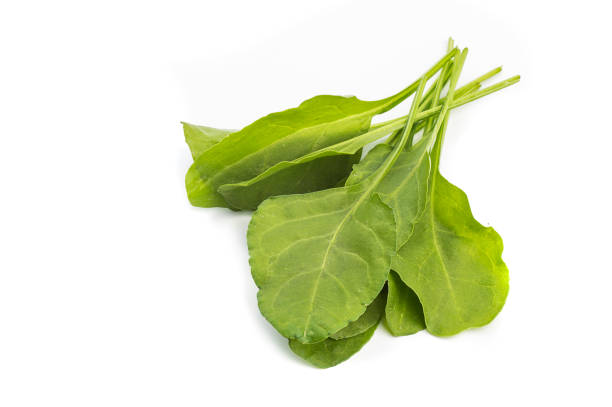 istock Close up of fresh green spinach isolated on white background 1188464348