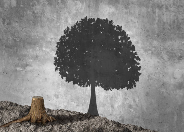 istock Concept Of Aspiration 1188464518