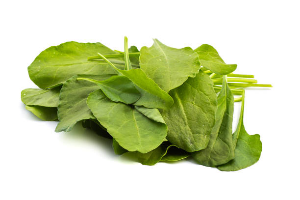 istock Close up of fresh green spinach isolated on white background 1188465049