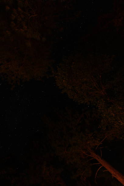 istock Sky full of stars 1188466447
