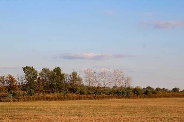 istock Autumn Field Landscape 1188466798