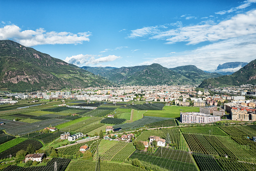 Beautiful landscape of Vineyard, wine growing region in West Turkey with Mountains