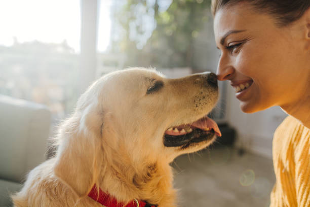 istock Mornings with my friend 1188473488