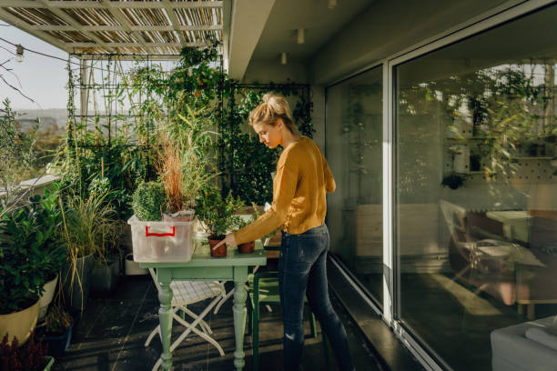 istock Arranging my rooftop garden 1188474956