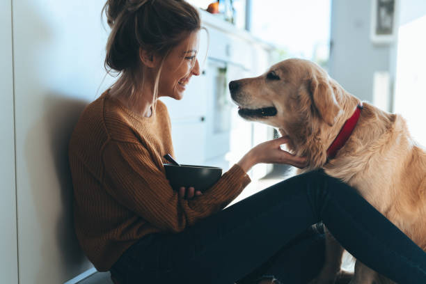 istock Morning with my dog in our kitchen 1188475253