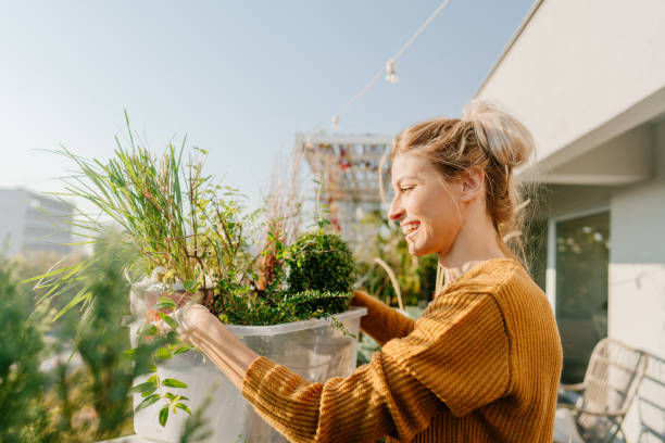 istock Arranging my rooftop garden 1188475510