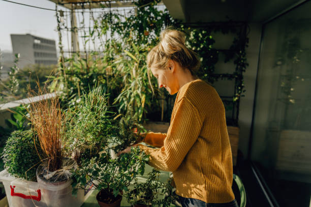 istock Taking care of my plants 1188476479