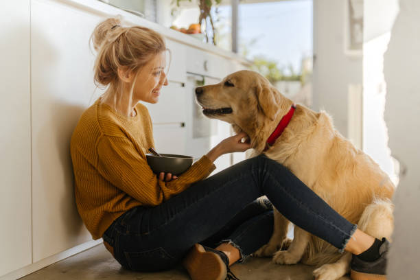 Morning with my dog in our kitchen Photo of young woman and her dog in a kitchen at the morning lady dog stock pictures, royalty-free photos & images
