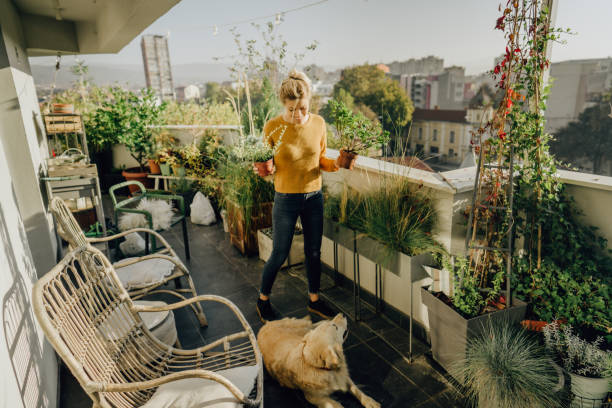 Taking care of my plants Photo of young woman taking care of her plants on a rooftop garden, while her dog lying down next to her moment of silence stock pictures, royalty-free photos & images