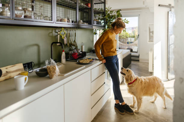 istock Morning with my dog in our kitchen 1188476767
