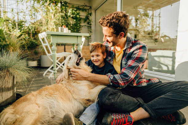 Relaxing moments with our dog Photo of father, son and their pet enjoying together on the balcony of their loft apartment apartment balcony garden stock pictures, royalty-free photos & images