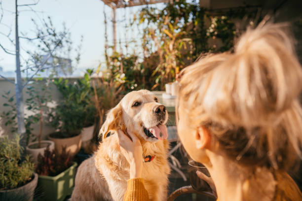 istock Our moments on the balcony 1188477088