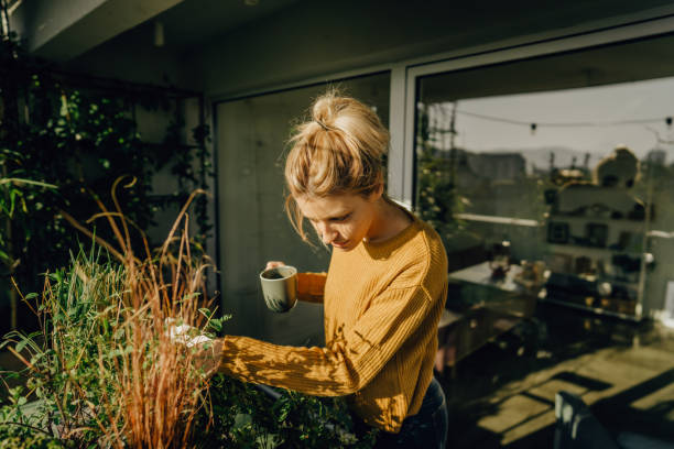 istock Arranging my rooftop garden 1188477495