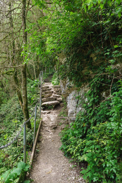 istock A rocky path in a yew-Box grove. Hosta, Sochi 1188477501