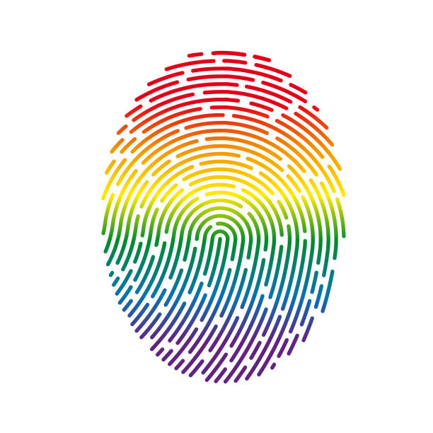 ilustrações de stock, clip art, desenhos animados e ícones de vector rainbow fingerprint - fingerprint thumbprint identity red