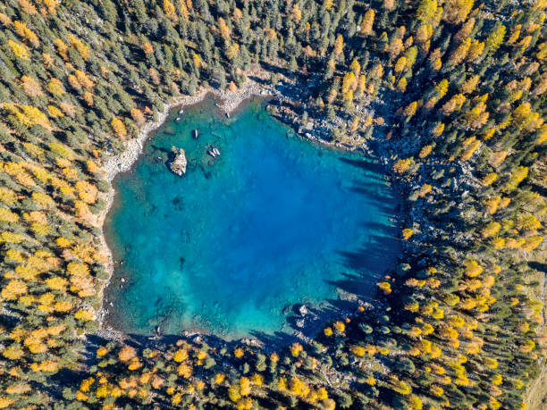 vista aérea do lago saoseo - uma lagoa heart-shaped em grison switzerland - graubunden canton fotos - fotografias e filmes do acervo