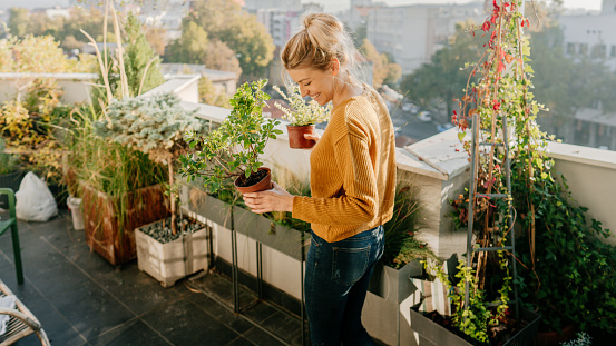 Cuidar mis plantas photo