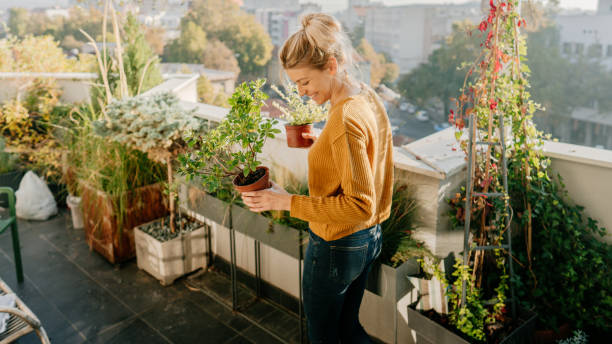 Taking care of my plants Photo of young woman taking care of her plants on a rooftop garden balcony stock pictures, royalty-free photos & images