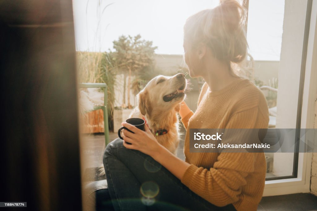 First morning coffee with a company Photo of young woman and her pet enjoying together at home Coffee - Drink Stock Photo