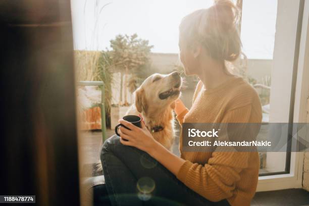 First Morning Coffee With A Company Stock Photo - Download Image Now - Coffee - Drink, Dog, Morning