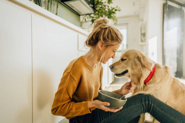 istock Morning with my dog in our kitchen 1188479089