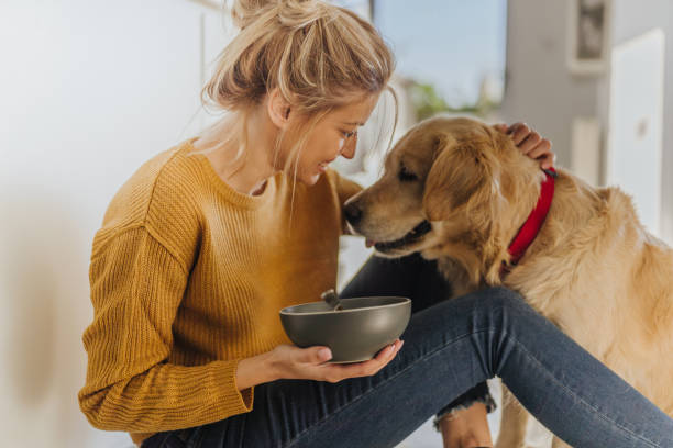 istock Morning with my dog in our kitchen 1188479122