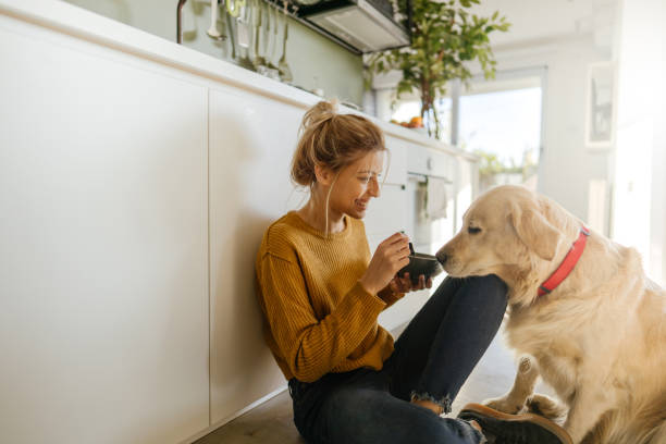 istock Morning with my dog in our kitchen 1188479301
