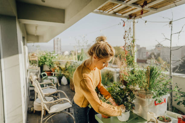 Taking care of my plants Photo of young woman taking care of her plants on a rooftop garden moment of silence stock pictures, royalty-free photos & images