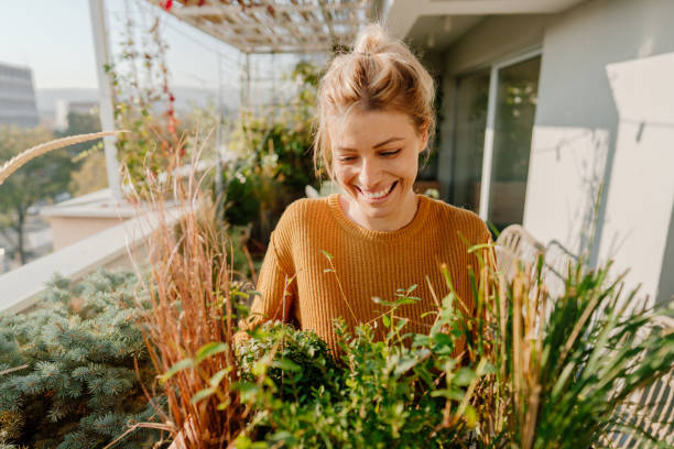 organizzare il mio giardino sul tetto - gardening women people planting foto e immagini stock