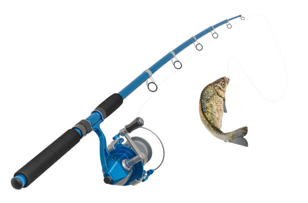 istock Fishing rod with fish, 3D rendering isolated on white background 1188482107