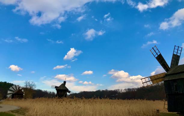 Wheat fields and old style wind mills to produce flour