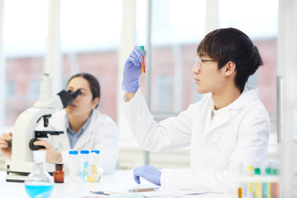 poważny młody pracownik laboratorium azjatyckiego w białym płaszczu siedzący przy stole z narzędziami laboratoryjnymi i patrzący na płyn w probówce - dna laboratory equipment chinese ethnicity education zdjęcia i obrazy z banku zdjęć