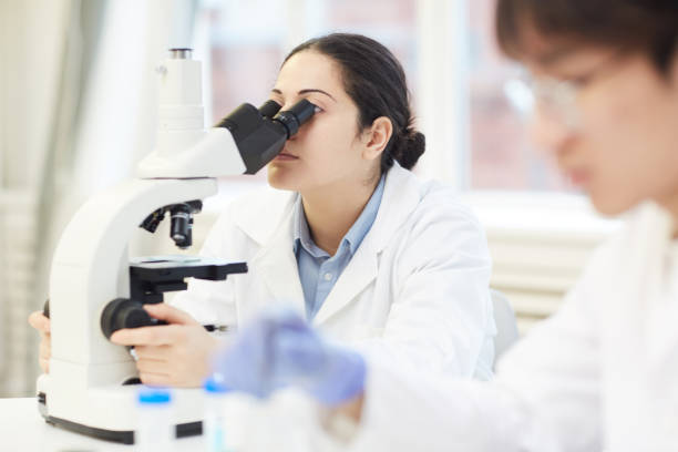 istock Focus on concentrated young Indian female biologist sitting at table and using microscope while examining sample 1188486419