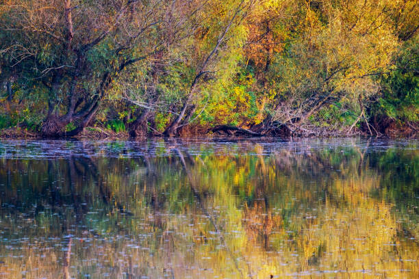 istock Autumn peaceful lake landscape 1188486424