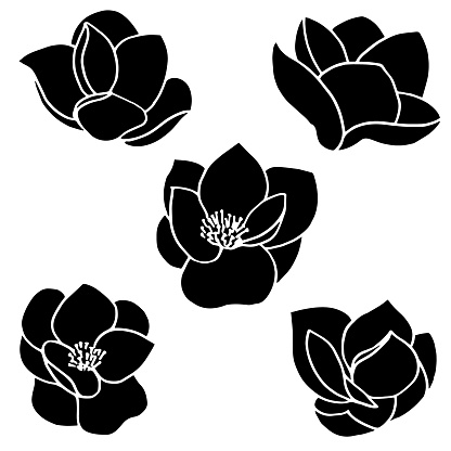 Set of black silhouettes of hand drawn magnolia flowers isolated on white background. Raster illustration for print, banner,poster, greeting card, wedding invitations,web sites,apps