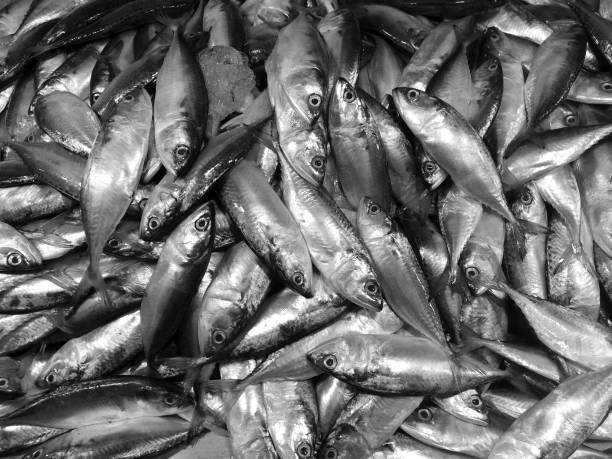 Fish market